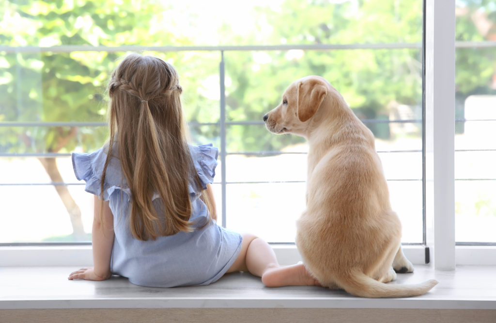 A girl and a dog look out the window on a sunny day.